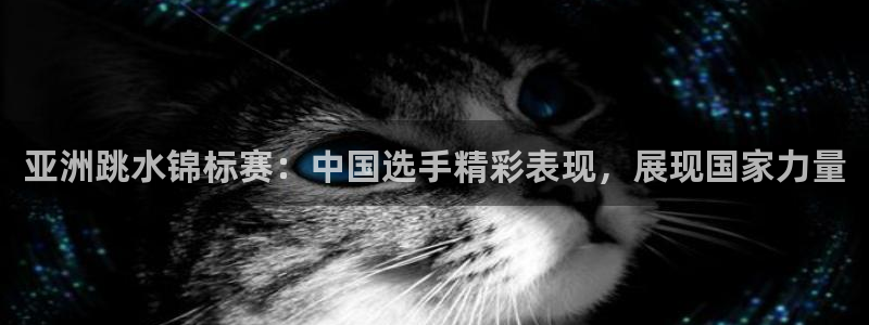 足球世界杯2026：亚洲跳水锦标赛：中国选手精彩表现，展现国家力量