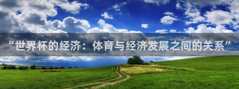 2026世界杯亚洲预选赛：“世界杯的经济：体育与经济发展之间的关系”