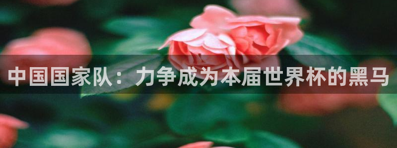 免费足球比赛直播高清：中国国家队：力争成为本届世界杯的黑马