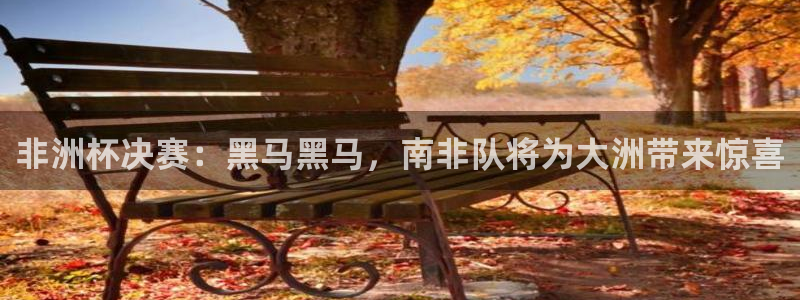 世界杯亚洲预选赛18强赛程：非洲杯决赛：黑马黑马，南非队将为大洲带来惊喜