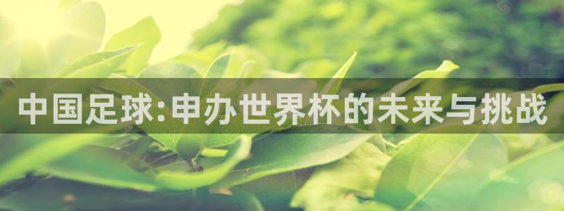 2026世界杯：中国足球:申办世界杯的未来与挑战