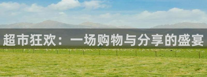 足球世界杯2026：超市狂欢：一场购物与分享的盛宴