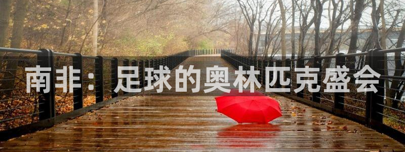 世界杯16强赛程表：南非：足球的奥林匹克盛会