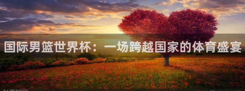 2026男足世界杯赛程：国际男篮世界杯：一场跨越国家的体育盛宴