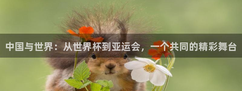 世界杯预选赛排名：中国与世界：从世界杯到亚运会，一个共同的精彩舞台
