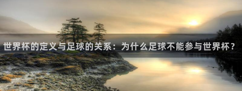 2026世界杯中国队：世界杯的定义与足球的关系：为什么足球不能参与世界杯？