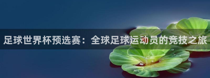 世界杯预选赛直播：足球世界杯预选赛：全球足球运动员的竞技之旅